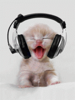 Pusa